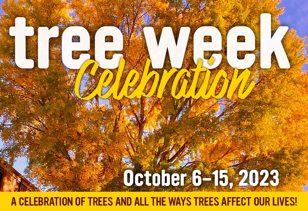 Tree Week