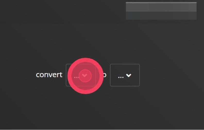 Once you are logged in, there are two drop-down boxes. The first box is the file type you have and the second one is the file type you want to convert to.