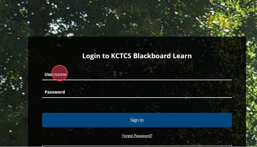 Open your web browser and navigate to elearning.kctcs.edu and use your KCTCS student account to login. Alternatively, you can go to mypath.kctcs.edu, login, and click on Blackboard to access your courses.