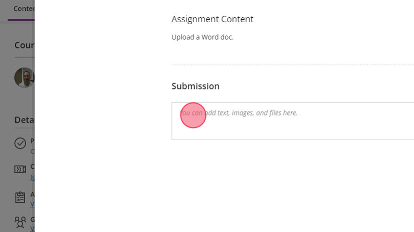 To add text to your submission, click "You can add text, images, and files here." This will open up the text editor to allow you to enter information.