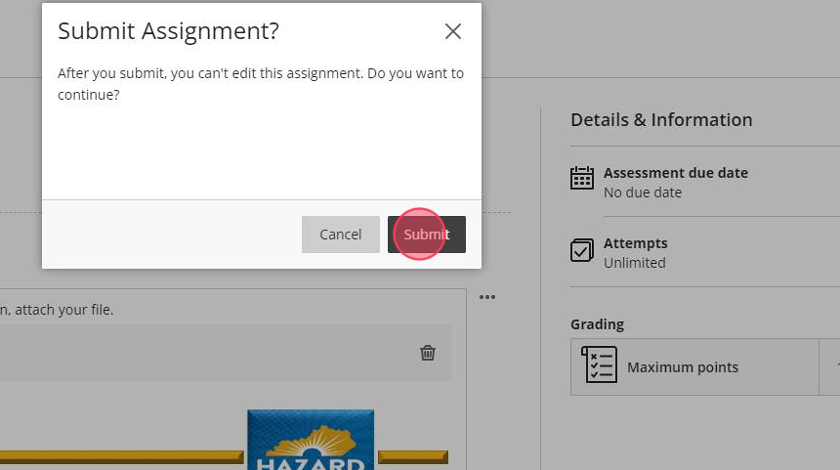 Click "Submit" again to confirm you want to upload your assignment.