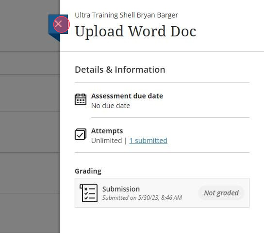 You can now click the "X" to close the assignment and return to your course homepage.