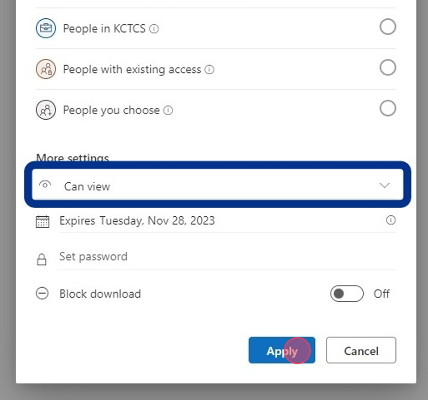 You can change the view option to "Can edit" to allow your instructor to make changes to your file. Some instructors prefer this option. When you are finished, click "Apply" to save the share settings.