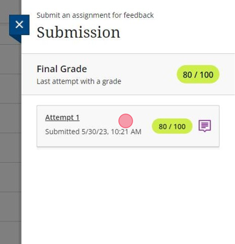 Click on the Attempt number with the feedback. In this case it is Attempt 1. You will see the purple note icon next to the assignment attempt with feedback.